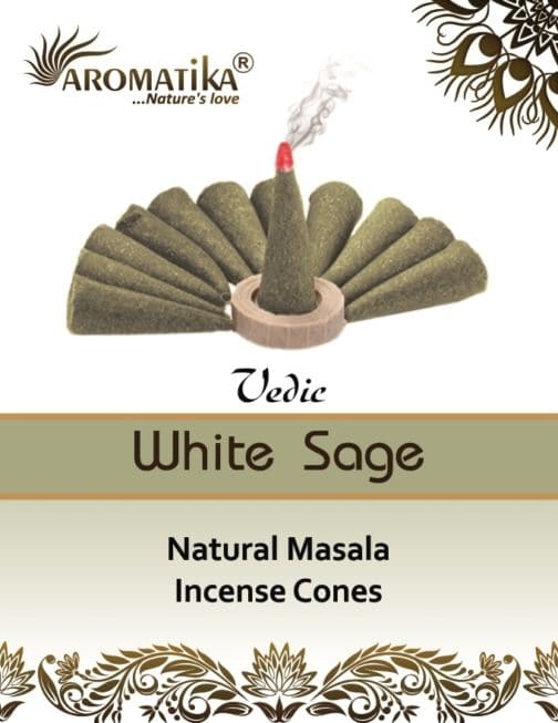 AROMATIKA CONES VEDIC MASALA WHITE SAGE  (Sauge blanche) (couleurs végétales)