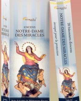 ENCENS NOTRE-DAME DES MIRACLES AROMATIKA HEXA