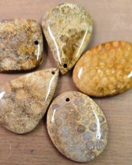 ..GALET PERCE CORAIL FOSSILE (Reste : 5 Pcs) ..GALET PERCE CORAIL FOSSILE (Reste : 5 Pcs)